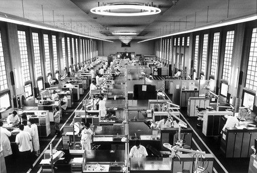 Faculté dentaire de Lille